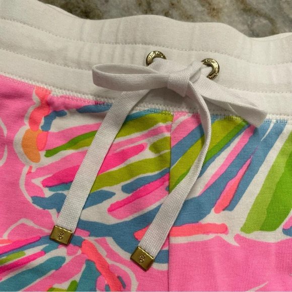 Lilly Pulitzer Shorts Women’s Small - Picture 3 of 8